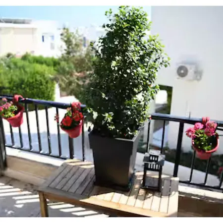 Gorgeous In Paradise Complex Apartment