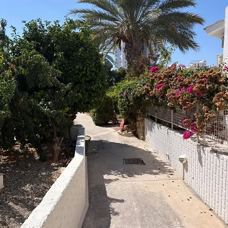 Gorgeous In Paradise Complex 公寓 *